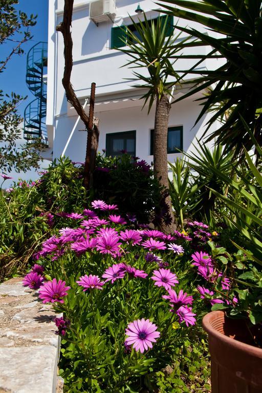 Villa Smaragdi Фаласарна Экстерьер фото